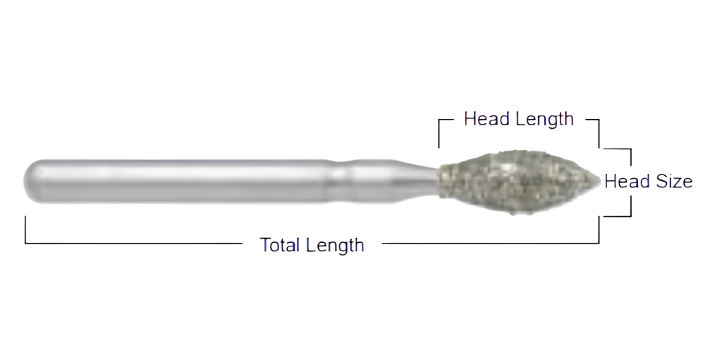 Bur Anatomy Diagram